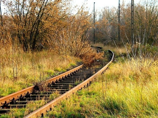 Пенсионера из Локнянского района сбил поезд