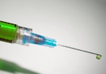 В Подмосковье выявлены новые виды мошенничества: 