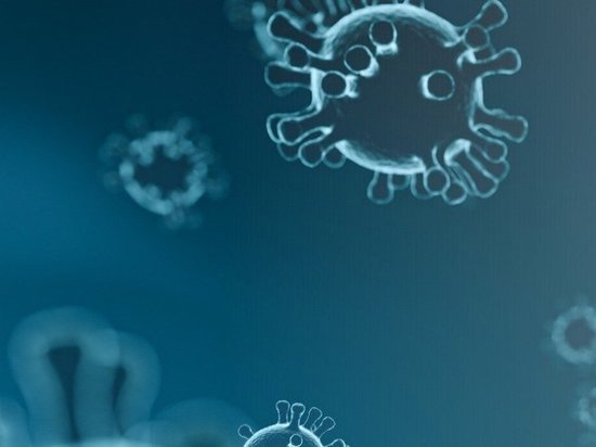 На Орловщине число заболевших коронавирусом достигло 24 человек