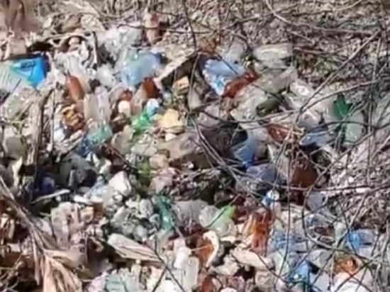 Реку Пивоварку снова завалили мусором