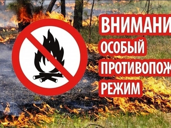 За неделю на Белгородчине тушили более 130 пожаров