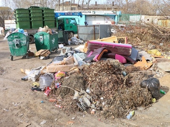 Регоператор разъяснил омичам, как поступать с растительным мусором