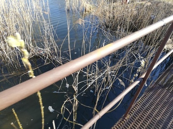 Во вторник, 14 апреля, погоде смолян порадовать нечем