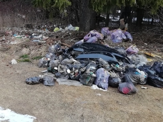 В Нововятске со стихийных свалок вывезли 100 кубометров мусора
