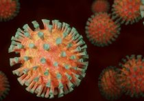 Пандемия коронавируса COVID-19 заставила по-новому взглянуть на проблему биологического оружия