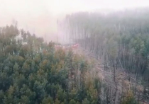 Огонь в Чернобыльской зоне во вторник остановился у «опасной черты»