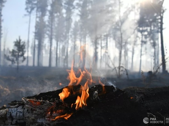 В Хакасии чуть было не сгорел природный заказник