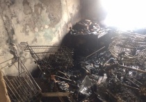 Сгоревшая в Обнинске квартира оказалась завалена магазинными тележками
