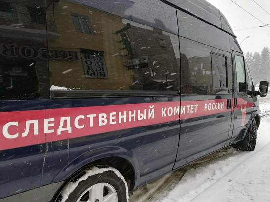 СК Забайкалья проверяет информацию о детях в непристойной семье