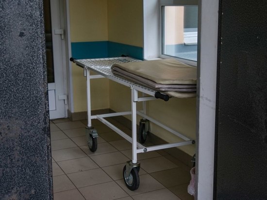 В Карелии за сутки от пневмонии умерли четыре человека