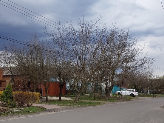 В среду в Белгороде ожидается сильный порывистый ветер