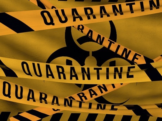 В Карелии могут изолировать четыре города с крупными предприятиями