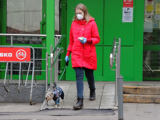 Комитет ветеринарии Москвы предупредил о риске заражения коронавирусом домашних животных