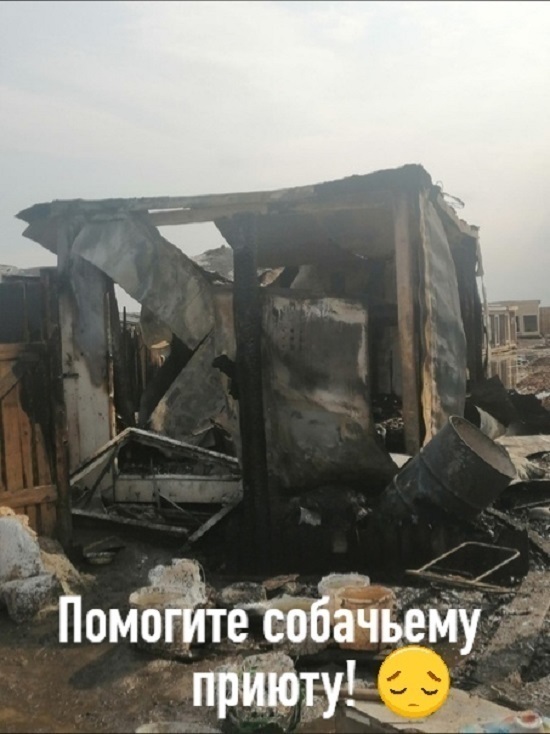 В кировском приюте для животных вспыхнул пожар