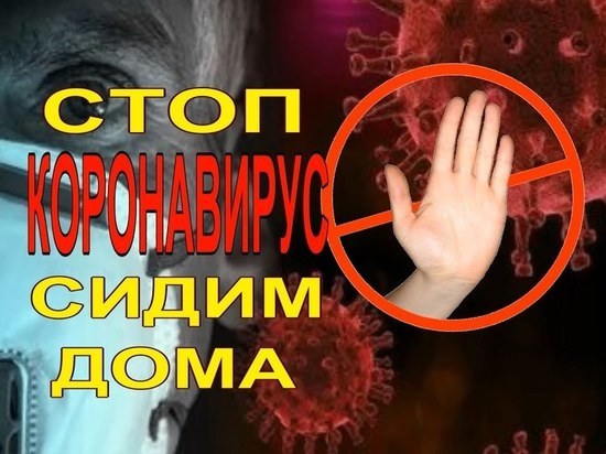 Глава Гаврилов-Ямского района попросил земляков сидеть дома
