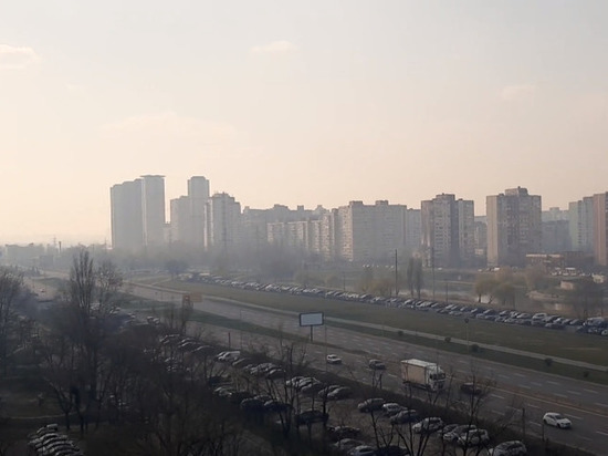 Причиной задымленности в Киеве назвали пожары в Житомирской области