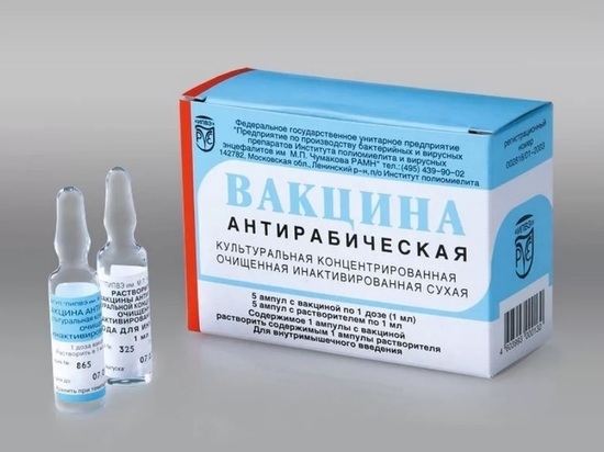 В Кострому наконец-то привезли вакцину от бешенства