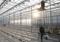 В Серпухове завершаются работы по оснащению оборудованием нового тепличного комплекса площадью 6 Га
