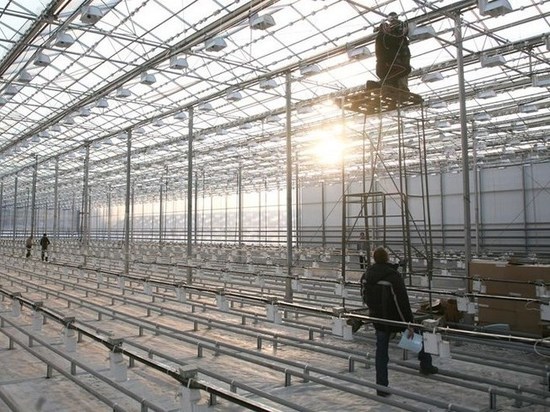 Новый тепличный комплекс в Серпухове планируют открыть в июле 2020 года