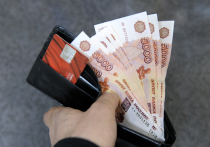 Сведения о доходах россиян будут собираться в специальный реестр Федеральной налоговой службы (ФНС)