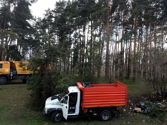В Воронеже грузовик слетел в кювет, водитель погиб