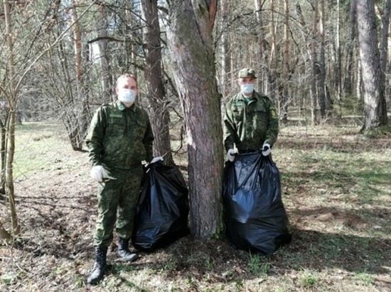 Серпуховские лесничие ликвидировали несанкционированную свалку