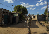 Волна уличных беспорядков и грабежей из-за коронавирусного кризиса и вызванных им ограничительных мер всколыхнула в последние дни ЮАР