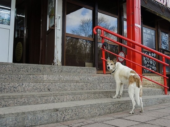 Минпромторг не заметил особых изменений цен на продукты