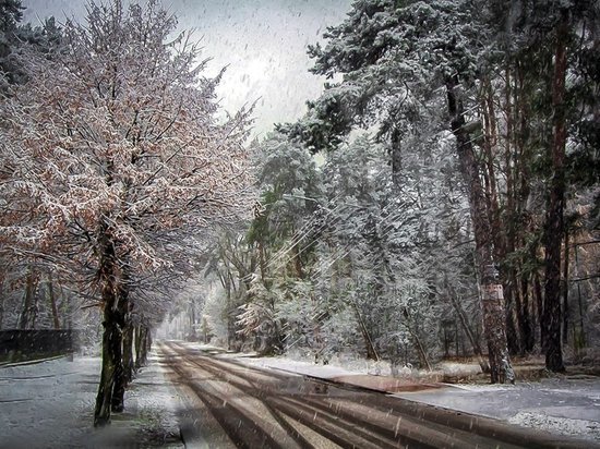 На текущей неделе в Кирове выпадет снег