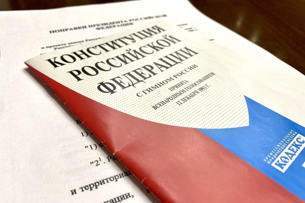 Страсти по поправкам: тульские оппозиционеры призывают пикетировать онлайн  - МК Тула