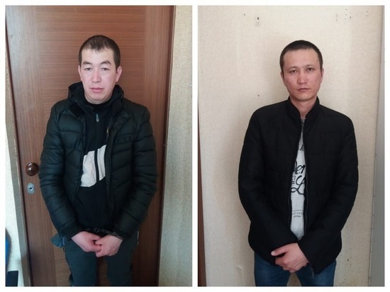 В Новосибирске задержаны укравшие полмиллиона подозреваемые в разбое