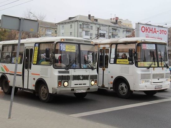 Количество транспорта на улицах Орла не сократят