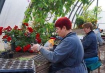 В Серпухове стартовали весенние работы по озеленению В ходе сезонной высадки на клумбах города появятся более 40 000 различных цветов