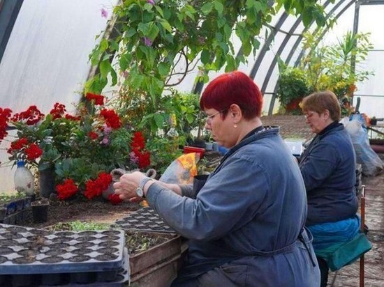 В Серпухове высадят 40 000 цветов