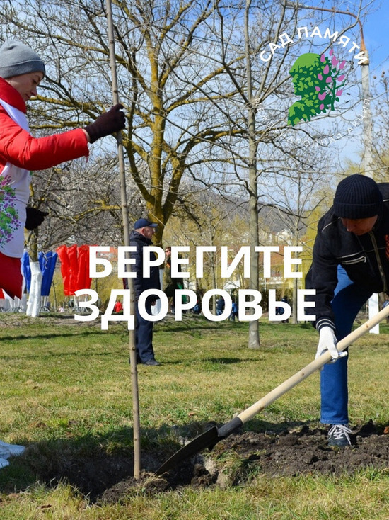 Из-за COVID-19 «Сад памяти» в Пскове планируют высадить на месяц позднее