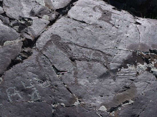 Археологи нашли наскальные рисунки мамонтов эпохи палеолита на Алтае
