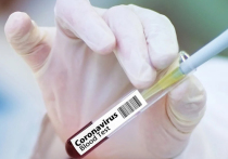 Клинические испытания на людях экспериментальной вакцины против коронавируса начнутся в четверг, 23 апреля, в Великобритании