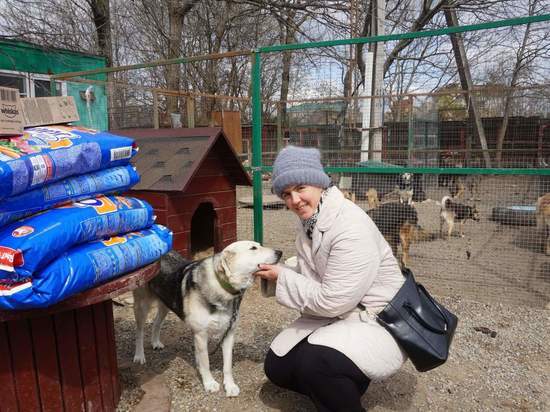 Зампред Госдумы РФ: Приюты для животных - на грани бедствия