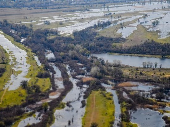 Волгоградские экологи с воздуха оценили обводнение поймы