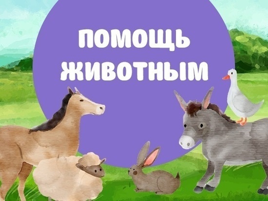 Из-за коронавируса культурно-развлекательному центру не на что купить корма