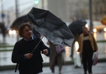 Жителей столицы и Подмосковья предупредили о резком ухудшении погодных условий