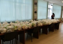 Представители Федерации тайского бокса в Серпухове приняли участие собрали 30 продуктовых наборов, для находящихся на самоизоляции