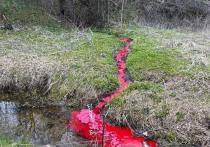 Видом местной речушки Гвоздня были шокированы во вторник, 21 апреля, жители подмосковного Наро-Фоминска