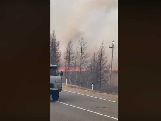 Очевидец снял пожар возле баз на берегу Арахлея под Читой