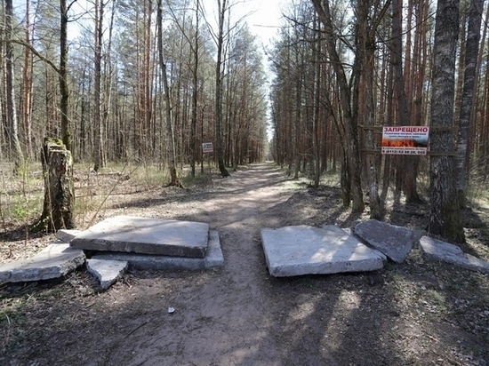 Корытовский лес «отгородился» от машин