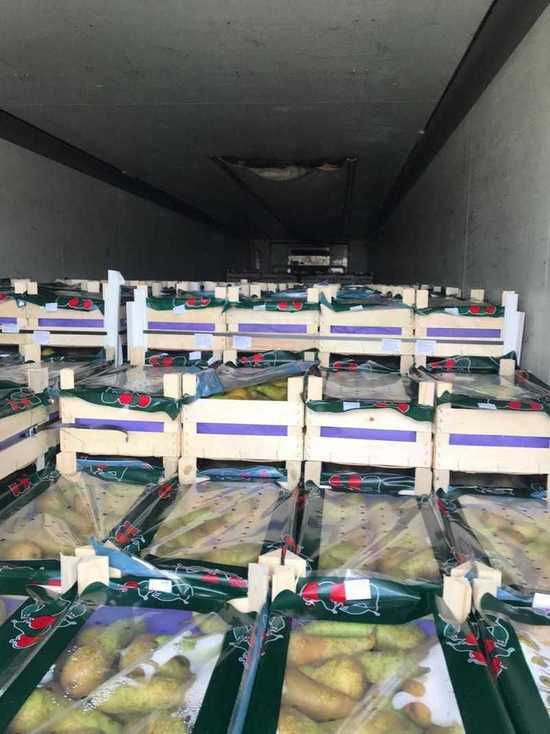 40 тонн груш без документов не пропустили через границу в Псковской области