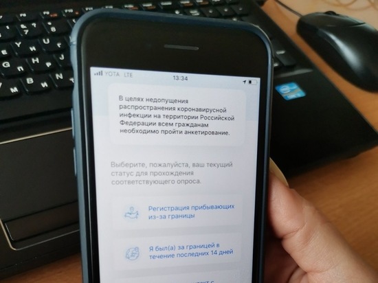 Систему цифровых пропусков из-за пандемии могут ввести в Забайкалье