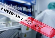 На следующей неделе в России может произойти скачок числа инфицированных коронавирусом