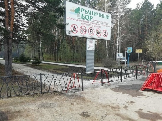 Илья Середюк ввёл временный запрет на посещение Рудничного бора