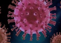 Группа исследователей из США, представляющих Университет Северной Каролины, перечислили четыре наиболее эффективных подхода к борьбе с пандемией коронавируса COVID-19